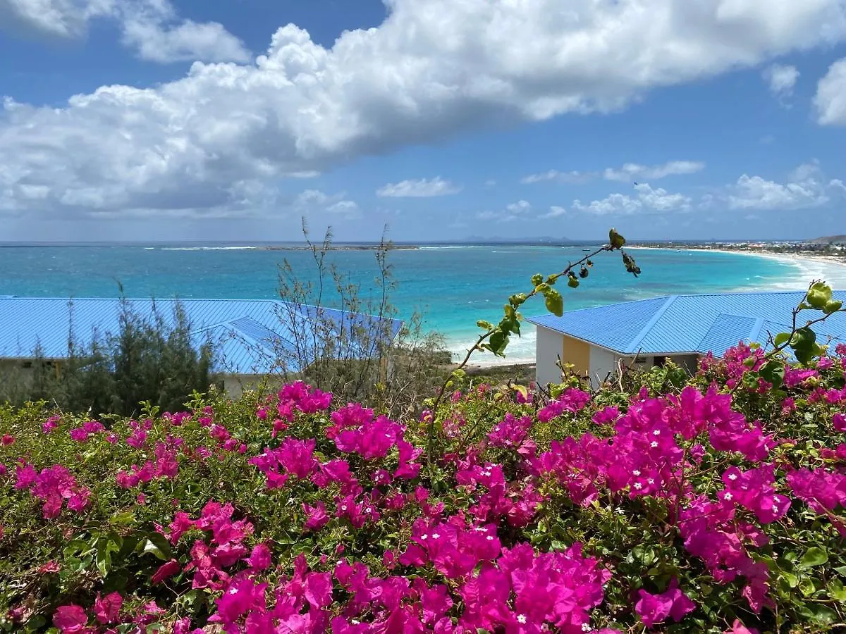 Studio Orient Bay